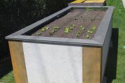 hochbeet_aus_beton_rostblech.jpg